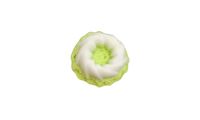 Putri Ayu Pandan from Art Of Kueh