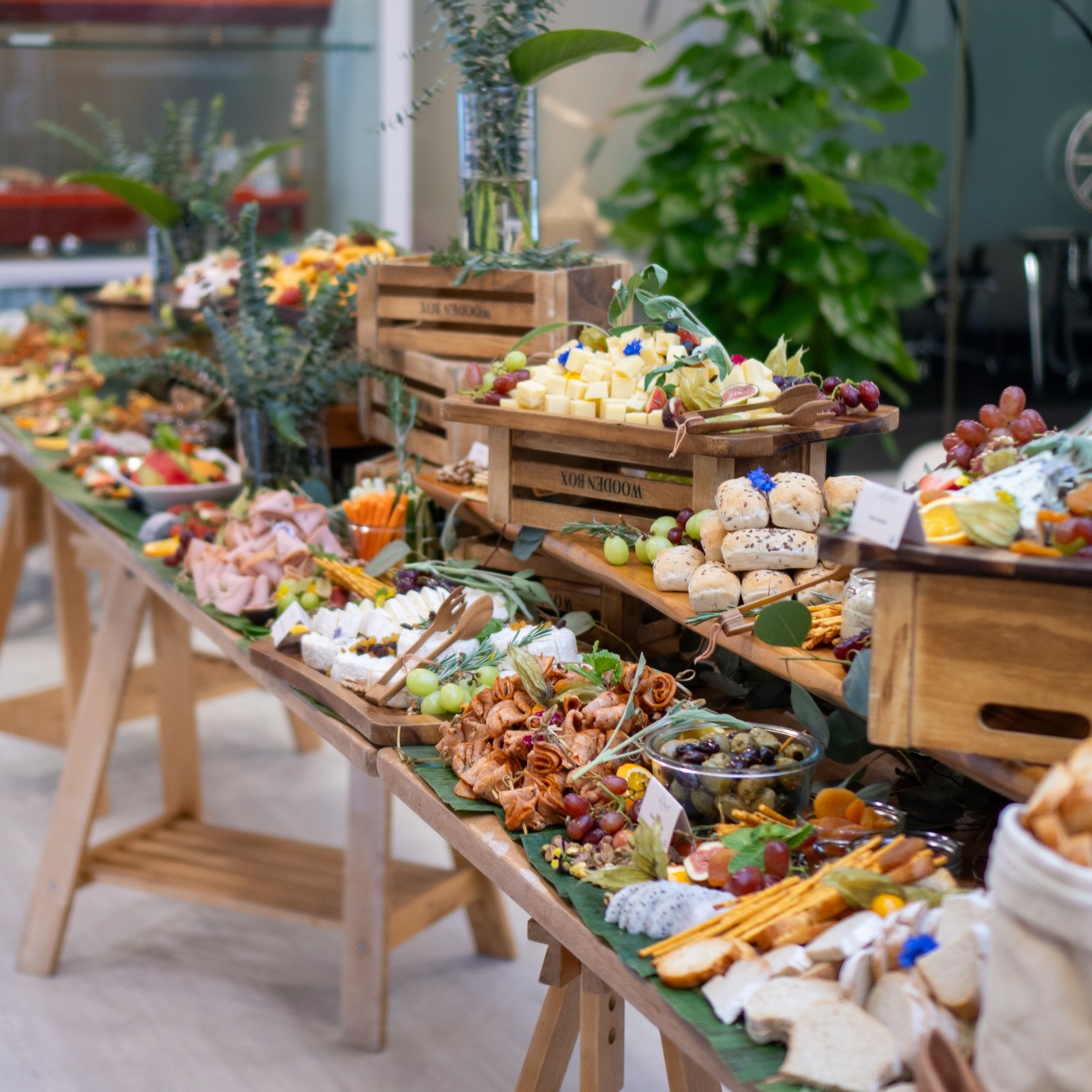 caterer-search